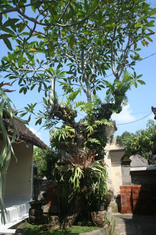 אובוד Nugraha Guesthouse 1 מראה חיצוני תמונה